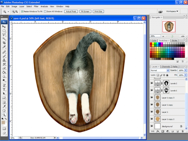Creation of Catastrophy: Step 4